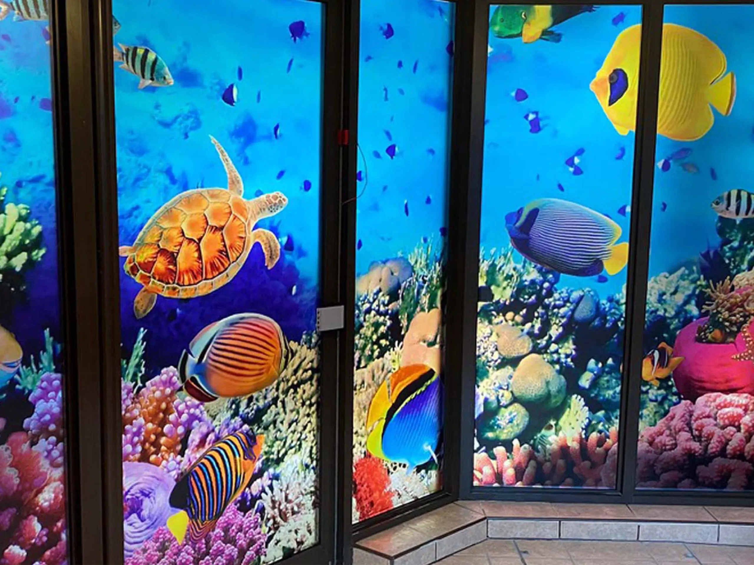 pennhall-reef-pool-wall-creative-corridors